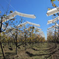 Alambre Para Estructuras AgrÃcolas Alambre Para Estructuras AgrÃcolas