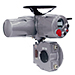 Actuators & Controls Actuators & Controls