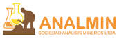Logo de Analmin Ltda.
