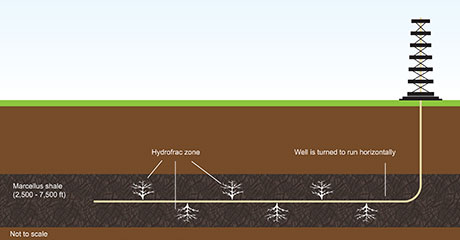 Shale Gas & Tight Oil