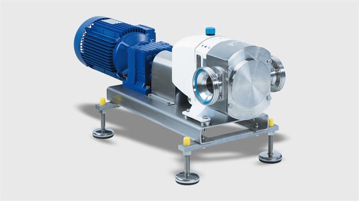 Rotary Lobe Pumps