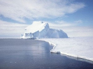 Campo De Hielo / Ice Sheet