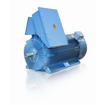 Dust Ignition Protection Motors