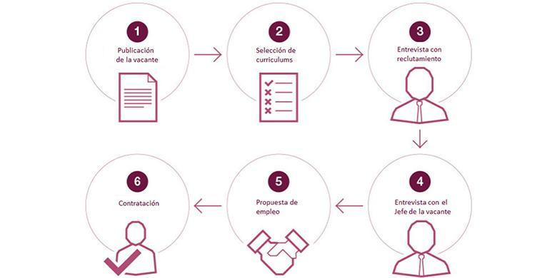 Proceso De Reclutamiento