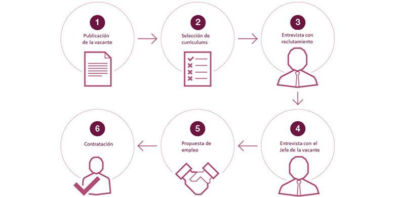 Proceso De Reclutamiento