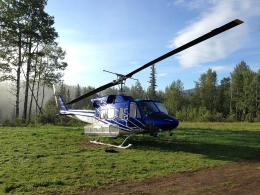 BELL 212, Fleet