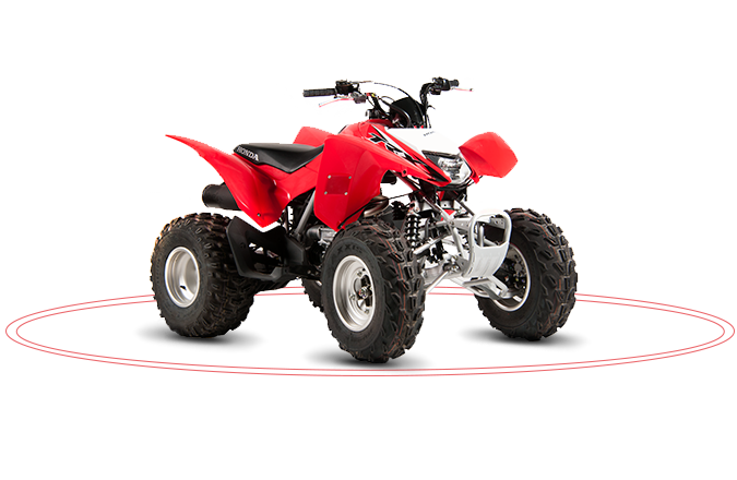 TRX 250 X