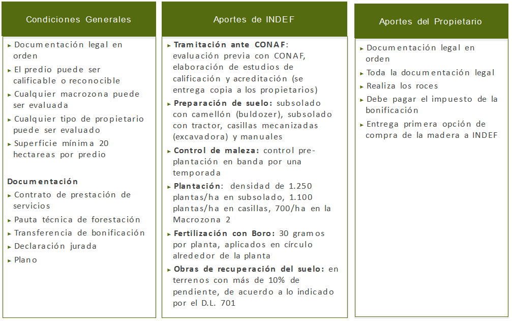 Patrimonio Forestal