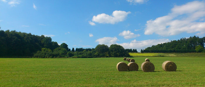 Soluciones Agrícolas