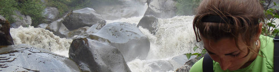 Cumplimiento Medioambiental