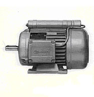 Motores Eléctricos Y Motorreductores