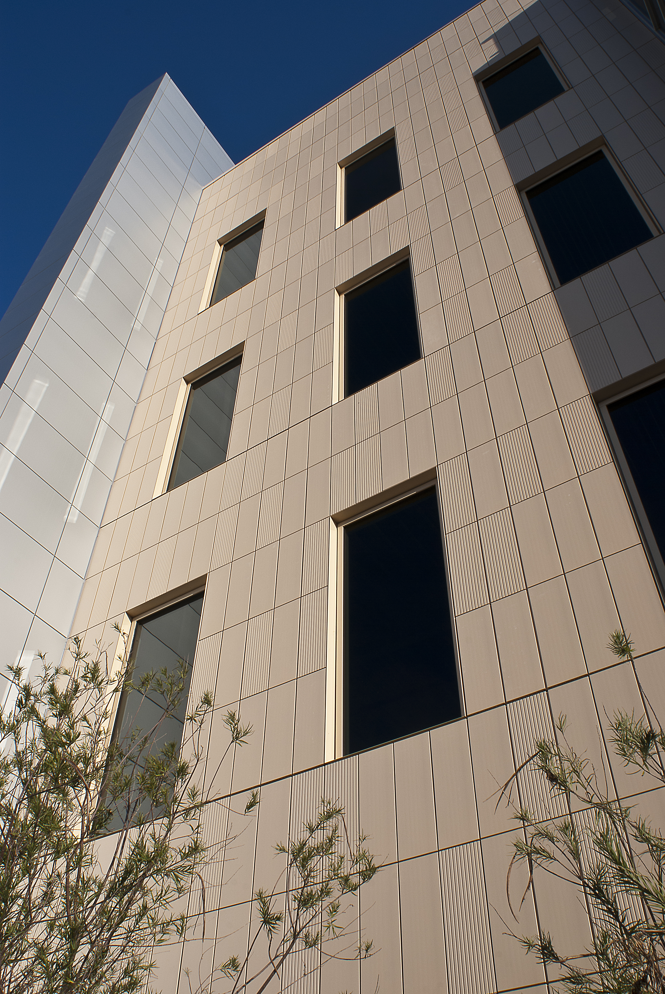 Architecture & Terra Cotta Cladding