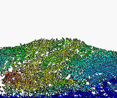 Energy & Greenhouse Gas Emissions