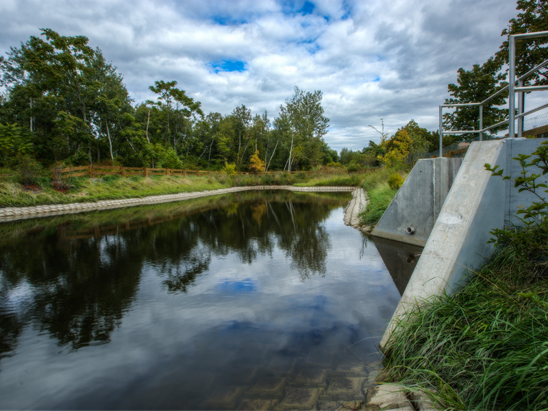 Alewife Reservation Stormwater Wetland