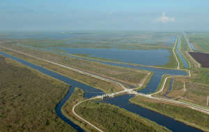 Compliance In The Everglades