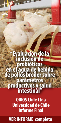 OV. Probiotic-Feed Pollos Broiler