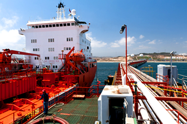 Maritime Terminals And Logistic Services