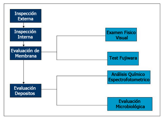 Autopsia De Membranas