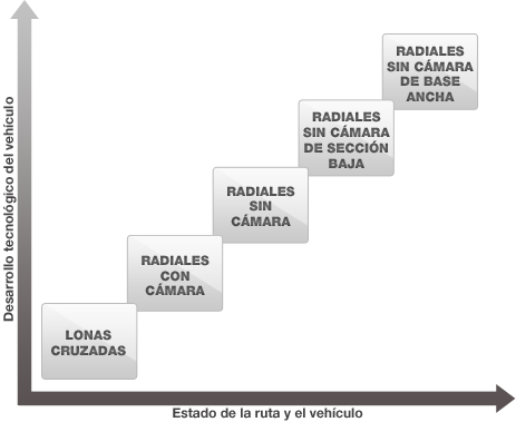 ELECCIÓN DE NEUMÁTICOS