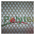 Polynet Geonet