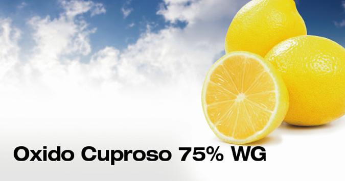 Oxido Cuproso 75% WG