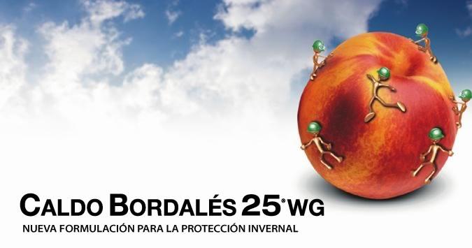 Caldo Bordalés 25 WG