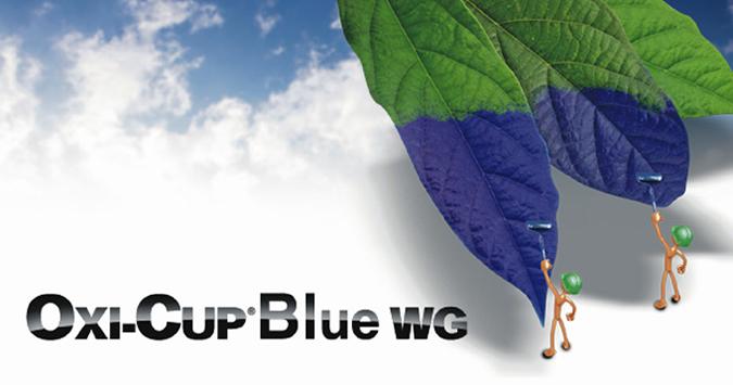 Oxi Cup Blue WG