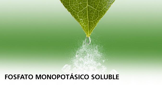Fosfato Monopotásico Soluble