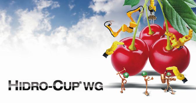 Hidro Cup WG