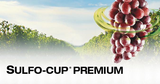 Sulfo Cup Premium