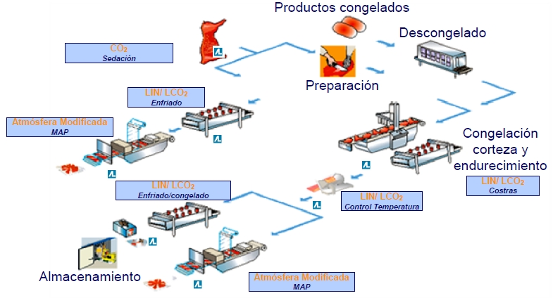 Alimentos