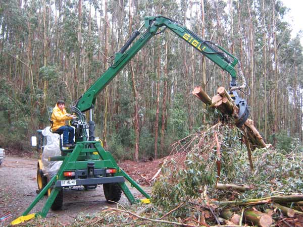 Grua Movil3