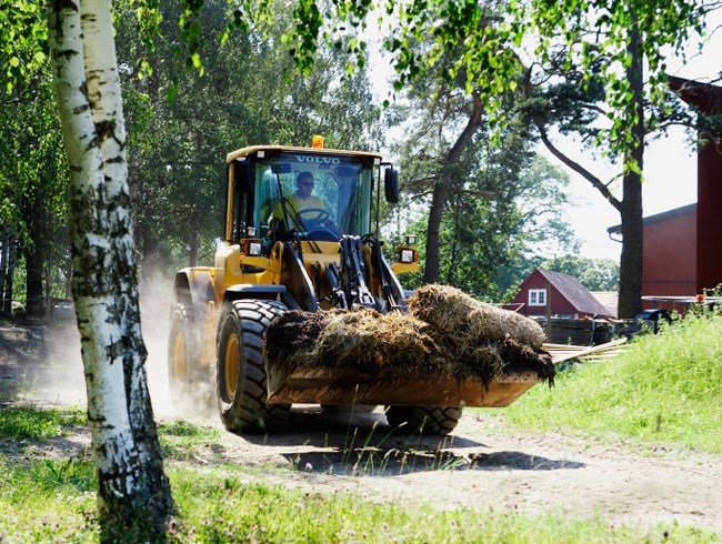 Agricultura