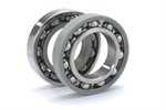 INSOCOAT Bearings