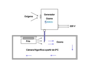 OZONO-CAMARAS-DE-FRIO