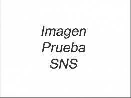 Prueba SNS