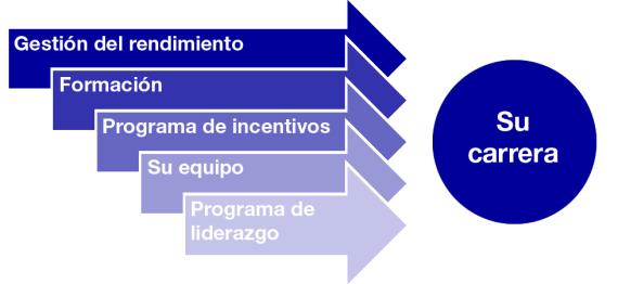 Formación Y Desarrollo