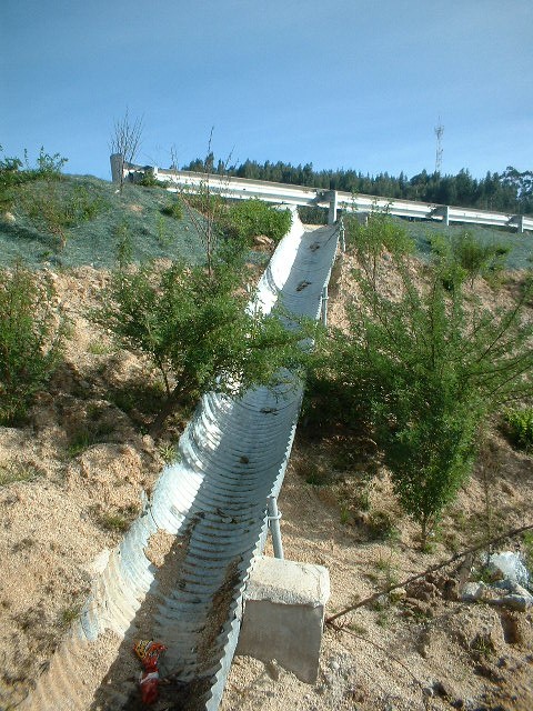 Medias Cañas