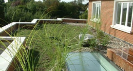 Cubiertas Verdes, Greenroof