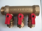 Manifold Valves