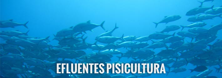 Efluentes Pisicultura