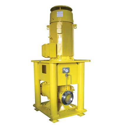 Seawater Lift Pumps