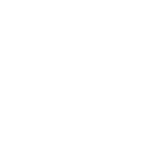 Widefense Consulting