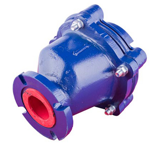 Isogate® CV SNR Check Valve