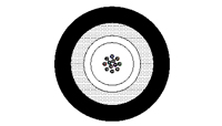 2507_pr1553346 2507_pr1553346