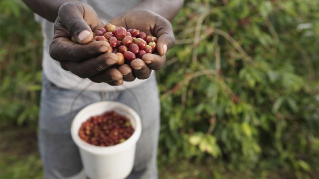 Products, Explore The SAP Portfolio