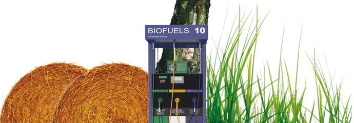 Biofuels, Liquid