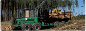 Logset-maquinaria-para-cosecha-forestal-raico