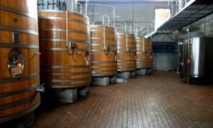 Bodega De Vinos, Viña Montes