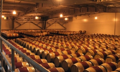 Bodega De Vinos, Viña Ventisquero